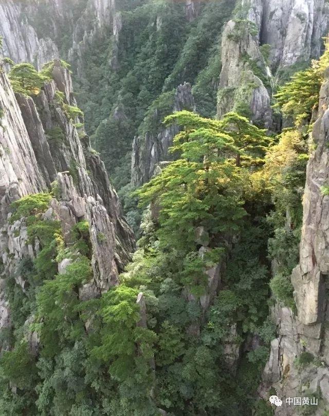 LABUBU综艺首秀 携手汪苏泷同台献唱人气爆棚
